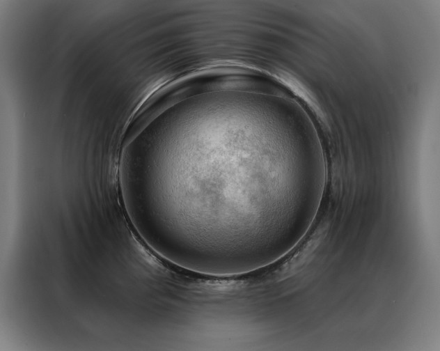 X0000088391193200705221108