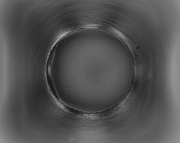 X0000088391194200705221108