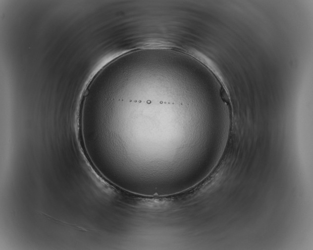 X0000088391195200705221108