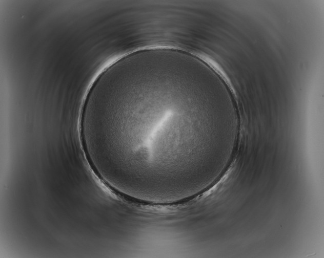 X0000088391197200705221108