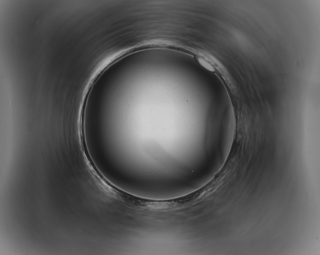 X0000088391199200705221108