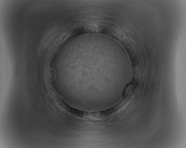 X0000088391201200705221107