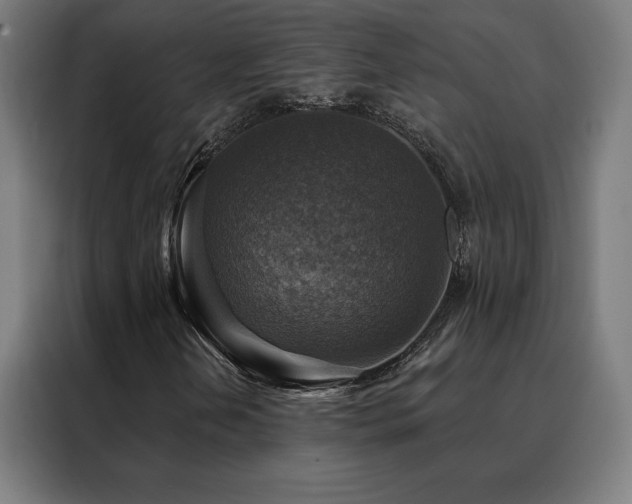 X0000088391202200705221107