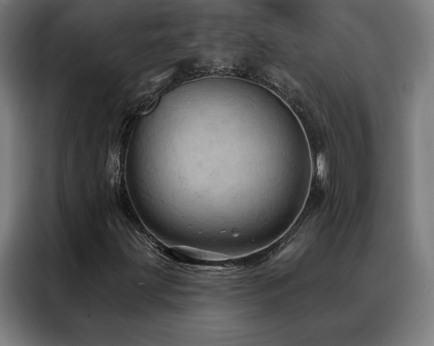 X0000088391203200705221107