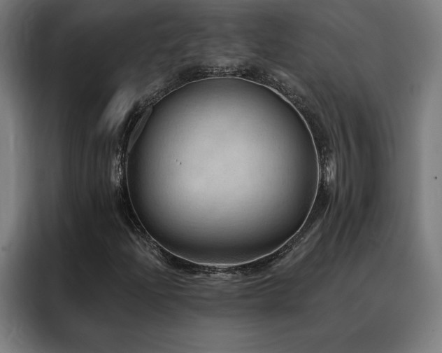 X0000088391204200705221107