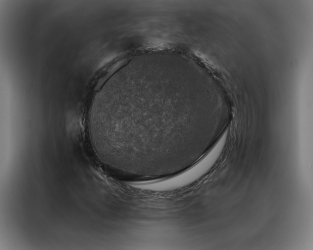 X0000088391206200705221107