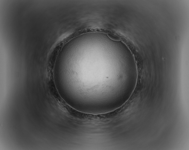 X0000088391207200705221107