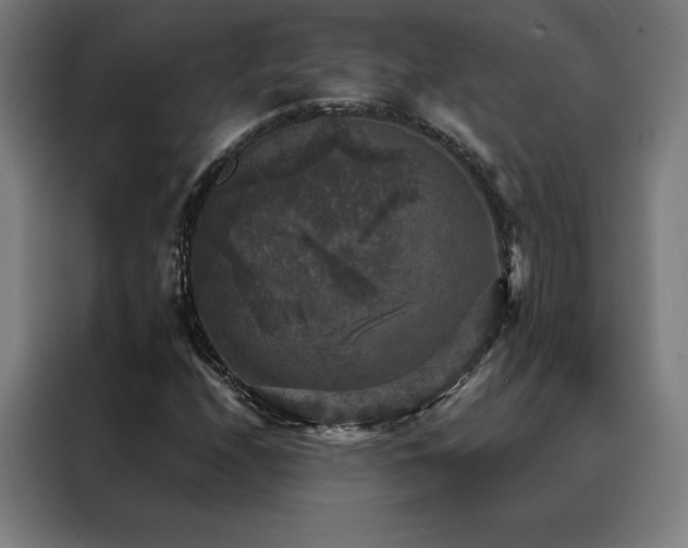 X0000088391208200705221107