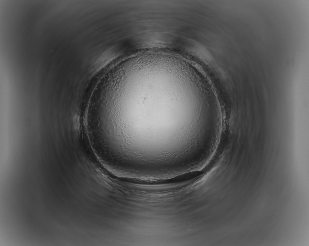 X0000088391209200705221107