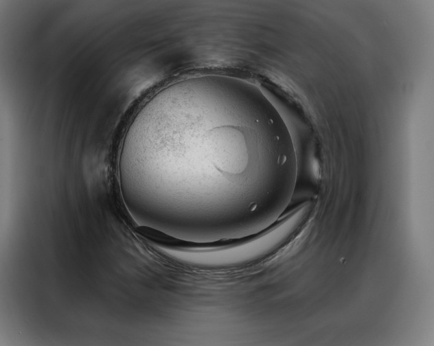 X0000088391210200705221107