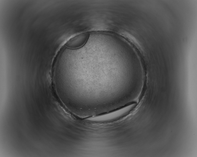 X0000088391212200705221107