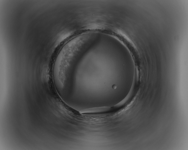 X0000088391213200705221107