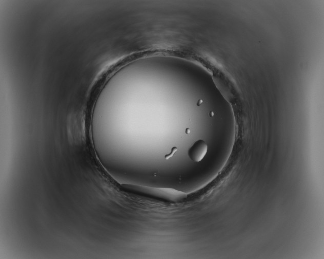 X0000088391214200705221107