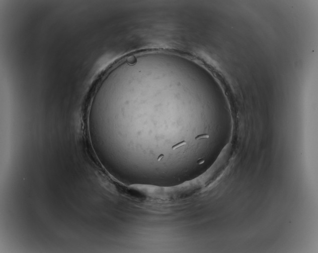 X0000088391215200705221107