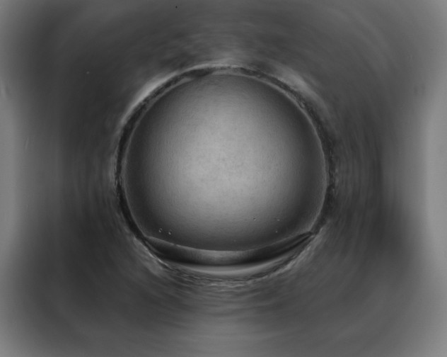 X0000088391216200705221107