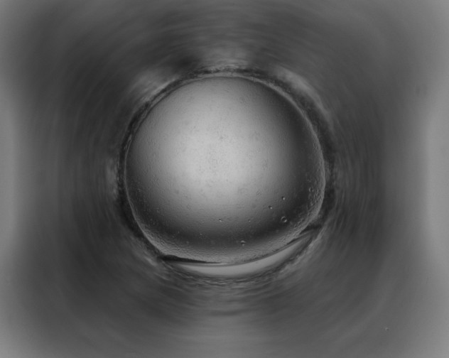 X0000088391217200705221107