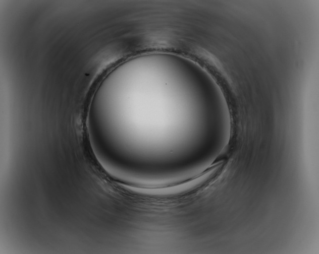 X0000088391218200705221107