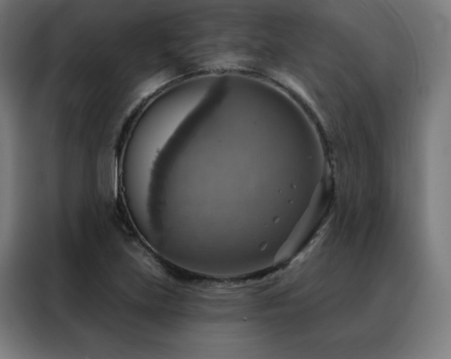 X0000088391219200705221107