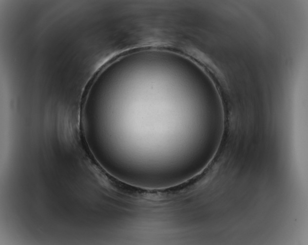 X0000088391220200705221107