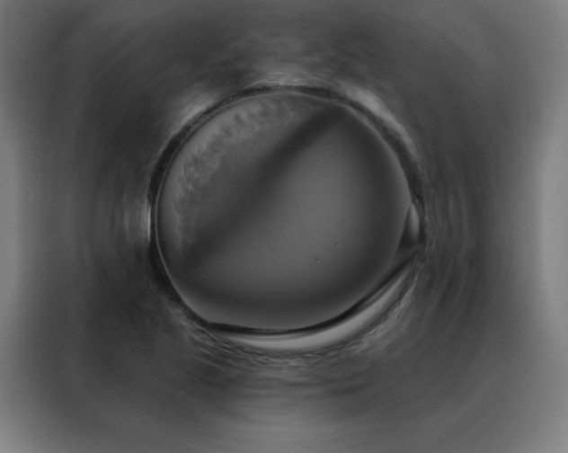 X0000088391221200705221107