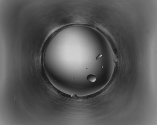 X0000088391222200705221107