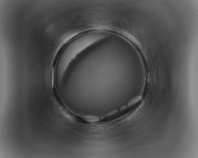 X0000088391223200705221107