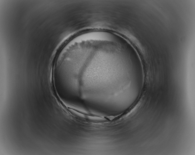 X0000088391224200705221107