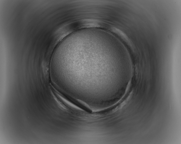 X0000088391225200705221107