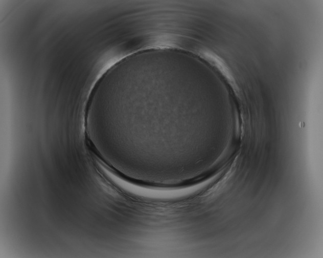 X0000088391226200705221107