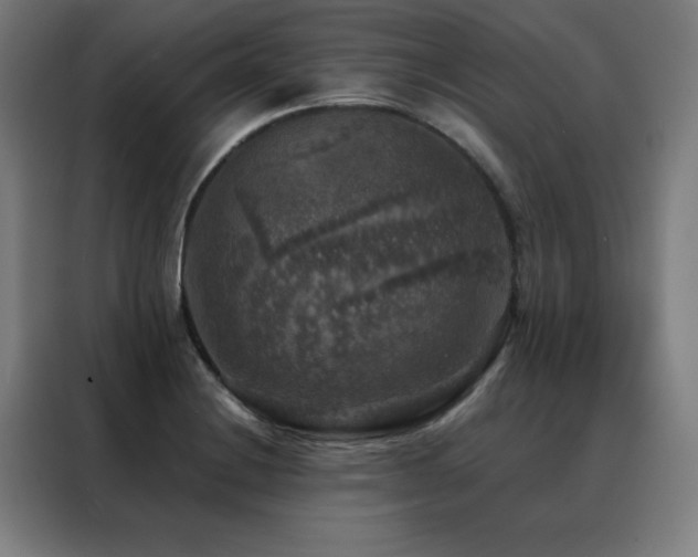 X0000088391228200705221107