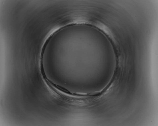 X0000088391229200705221107