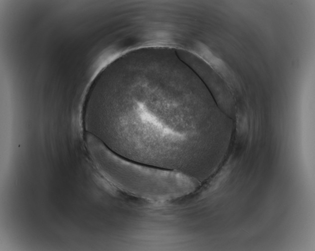 X0000088391230200705221107