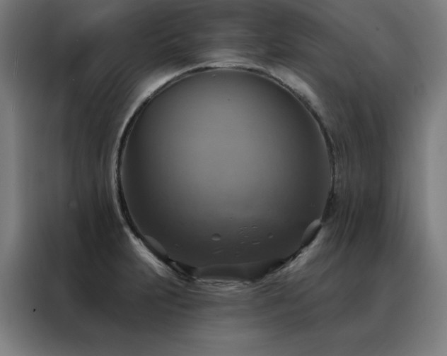 X0000088391231200705221107