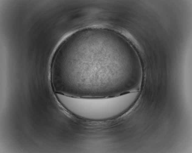 X0000088391232200705221107