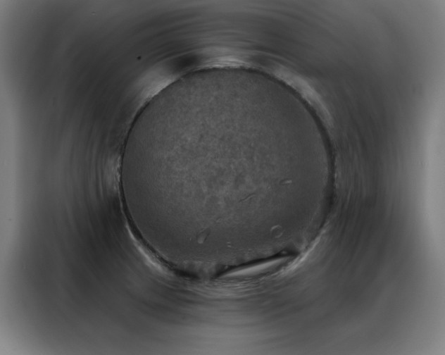 X0000088391233200705221107