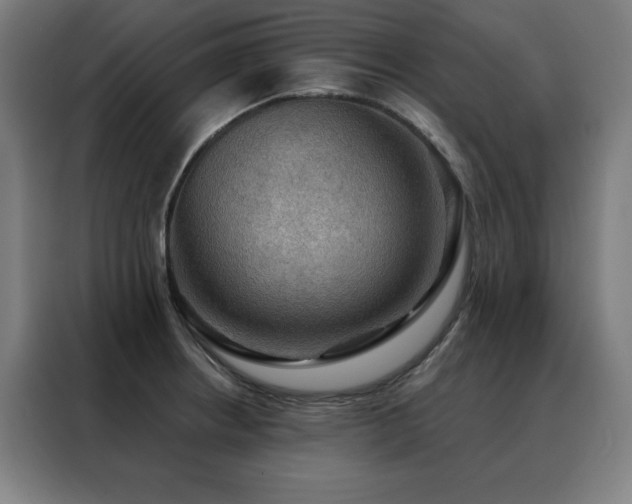 X0000088391234200705221107