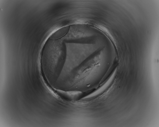 X0000088391235200705221107