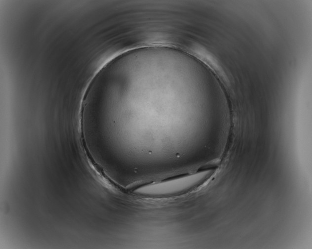 X0000088391236200705221107