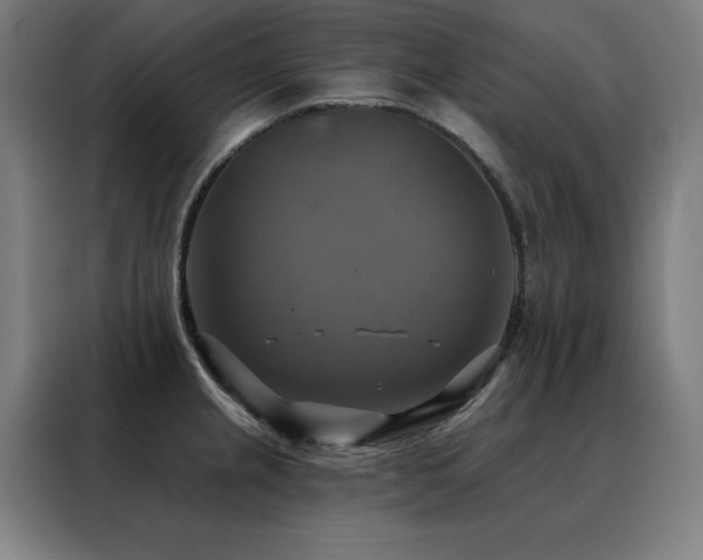 X0000088391237200705221107