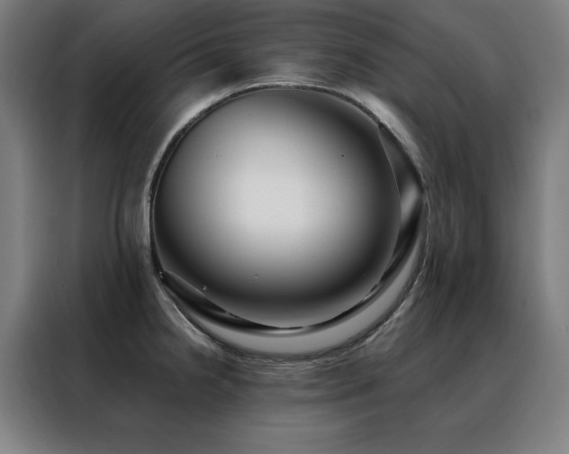 X0000088391238200705221107