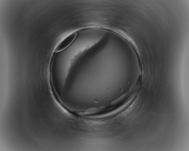 X0000088391239200705221107