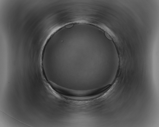 X0000088391240200705221108