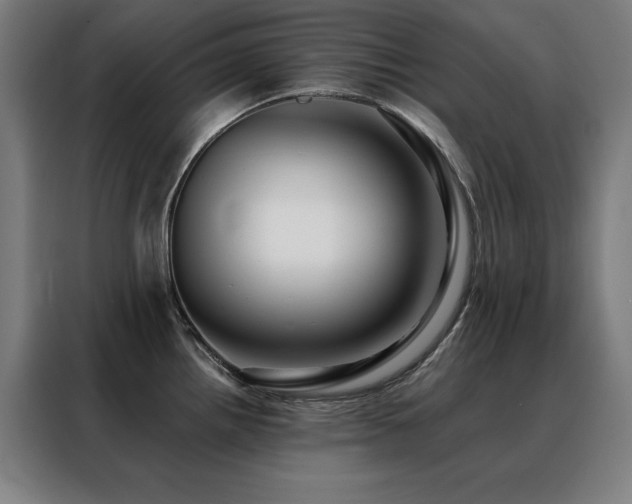 X0000088391242200705221108