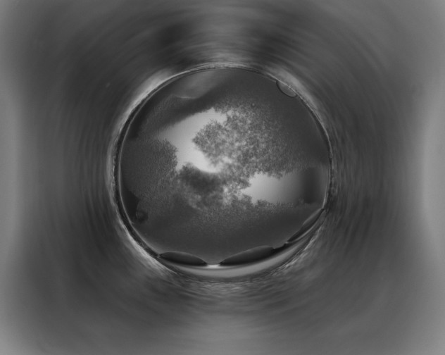 X0000088391243200705221108