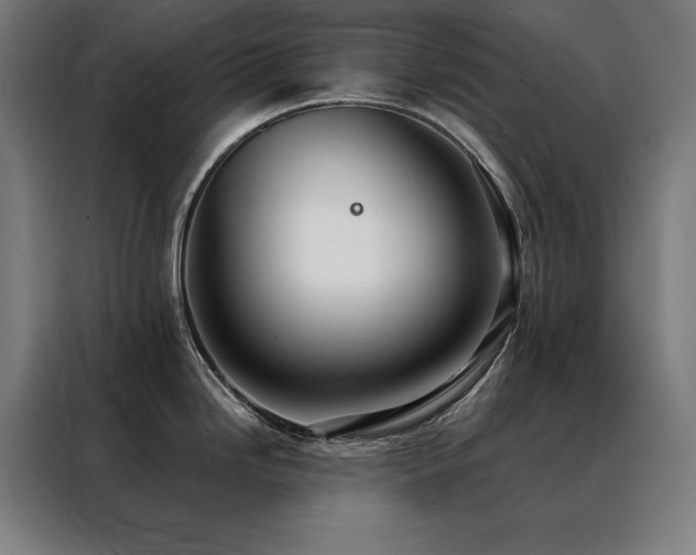 X0000088391246200705221108