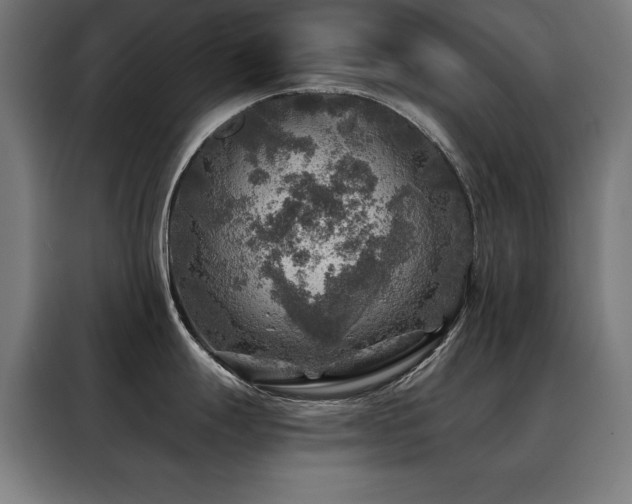 X0000088391247200705221108
