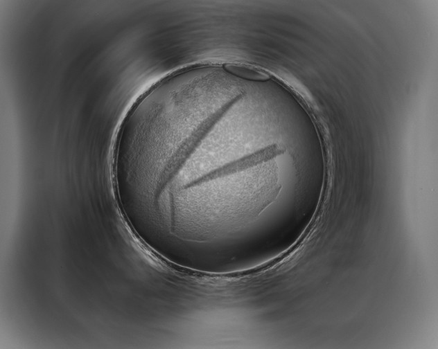 X0000088391248200705221108