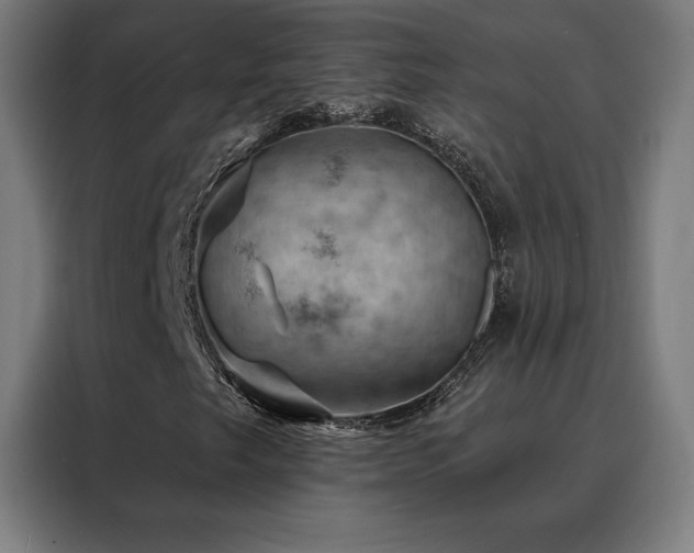 X0000088391249200705221107