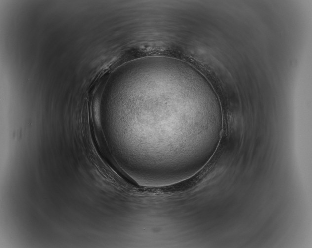 X0000088391250200705221107