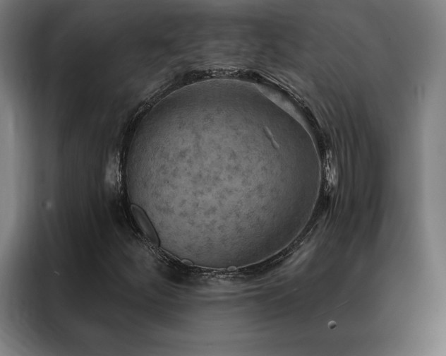 X0000088391252200705221107